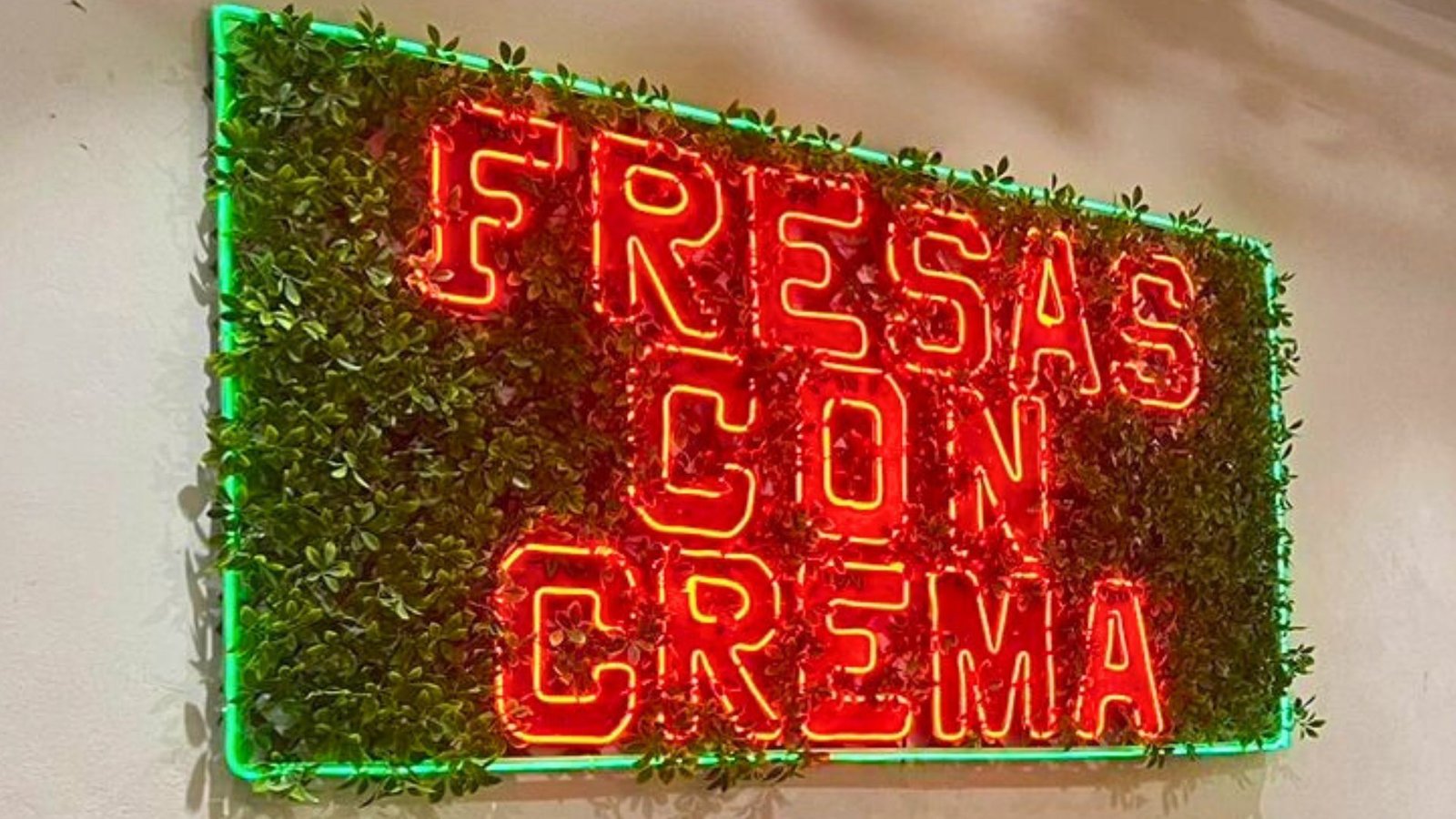 Anuncio Luminoso Neón Flex - Imagen 7