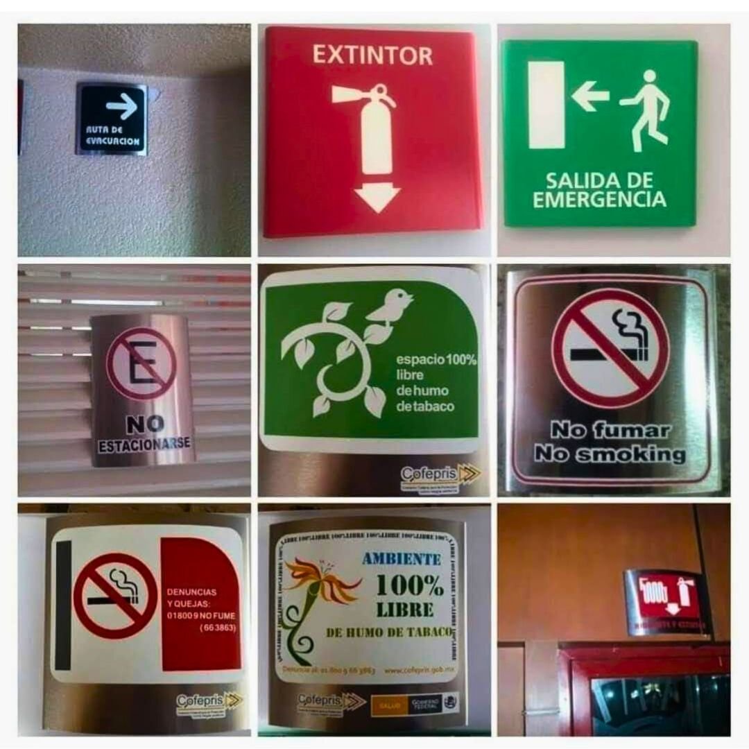 Tótem Vinilo - Imagen 4